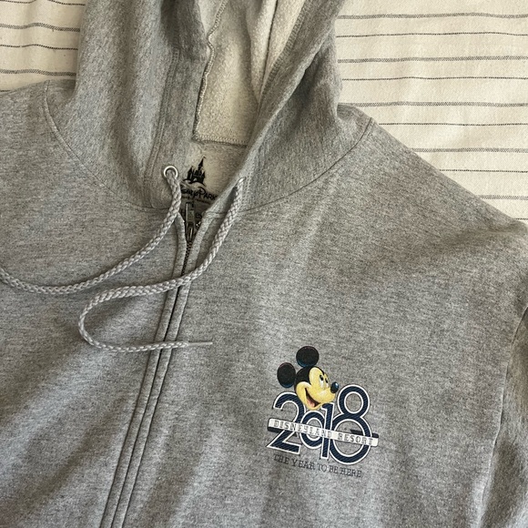 Other - Disneyland hoodie